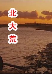成年人在线免费观看